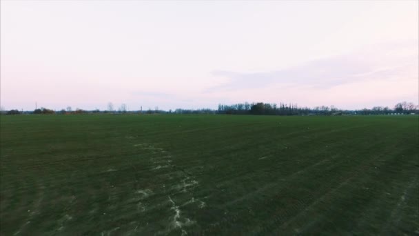 Campo verde, bela paisagem — Vídeo de Stock