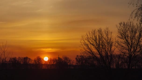 Sonnenuntergang in den Bäumen im Schatten — Stockvideo