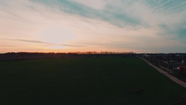 Veld bij zonsondergang in de voorste boom uit de lucht — Stockvideo