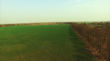 Yeşil alan ve ağaçlar