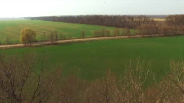 Voando sobre as árvores para o campo verde — Vídeo de Stock