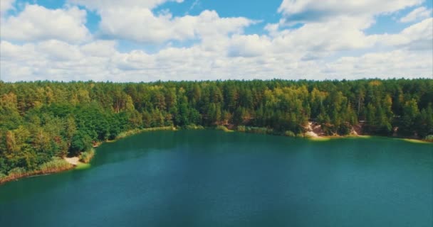 Εναέρια Flythrough πανέμορφη λίμνη και το δάσος — Αρχείο Βίντεο