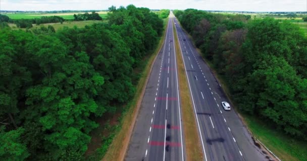 Latające nad drogą w lesie — Wideo stockowe