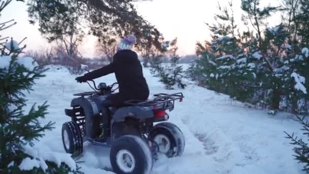 Kışın karla kaplı çam ormanlarında motosiklet süren bir kız. — Stok video