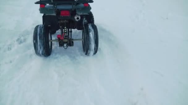 Chica en quad ATV bicicleta en el campo de nieve de invierno con perro — Vídeos de Stock