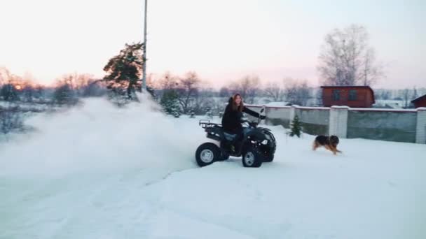 Flicka i fyrhjuling. Vintersnöfält — Stockvideo