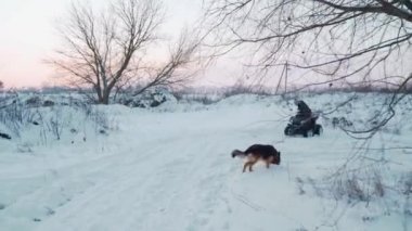 Adam karda köpekle ATV avlusunda dönüyor.