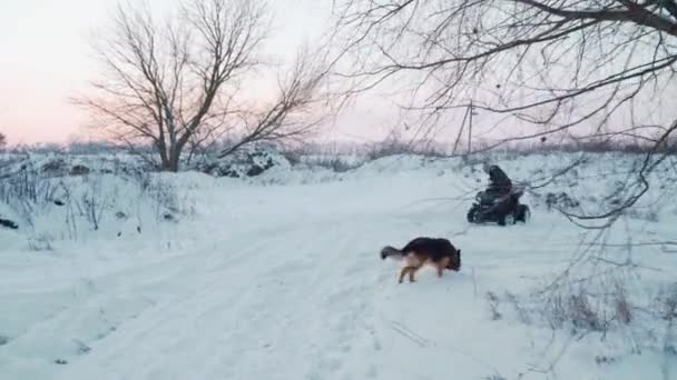 那家伙和狗在雪地里的一辆ATV四轮车上打转 — 图库视频影像