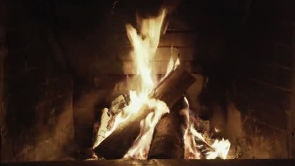 Burning Wood In The Fireplace. — Stock Video