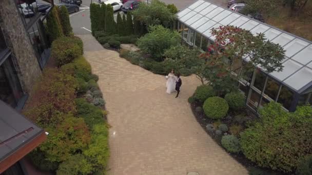 Vista aérea de la novia con su marido — Vídeo de stock