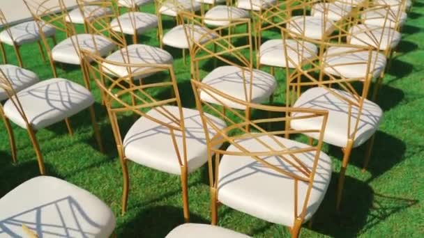 Cadeiras de casamento branco no gramado verde — Vídeo de Stock