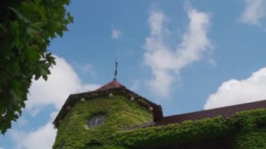 Kale yeşil sarmaşıkla kaplanmış.