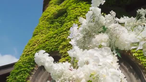 城を背に白い花を咲かせます — ストック動画