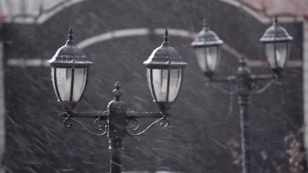 La nieve cae del cielo por la tarde cae en la luz de una lámpara de calle, grandes copos de nieve están cayendo lentamente, el estado de ánimo de Año Nuevo — Vídeos de Stock