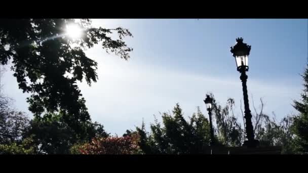 Bellissimo albero e lampada contro il cielo — Video Stock