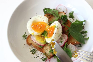 Ev Kahvaltısı. Kızarmış ekmek ve haşlanmış yumurta. Sıvı sarısı, şifalı ot ve biber soslu..