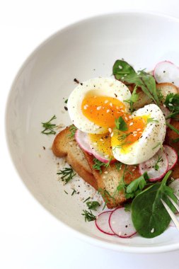 Ev yapımı öğle yemeği. Kızarmış ekmek ve taze baharatlı haşlanmış yumurta..