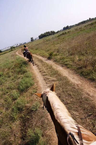 Family horse riding — Stock Photo, Image