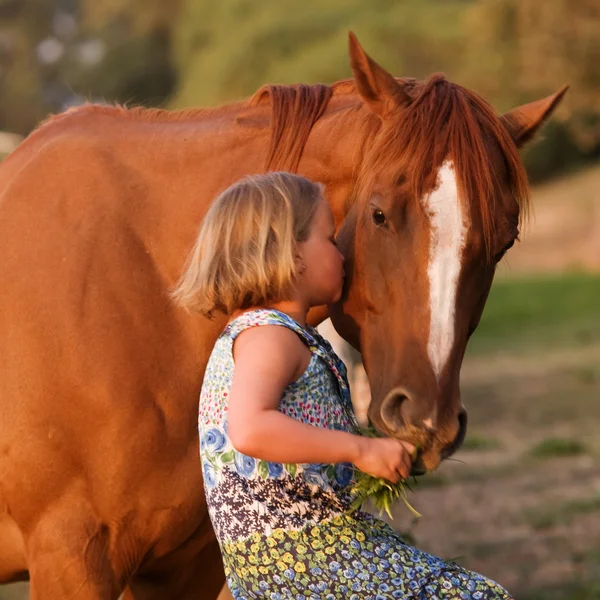 Cute child feeding her handsome horse — Stock Photo, Image