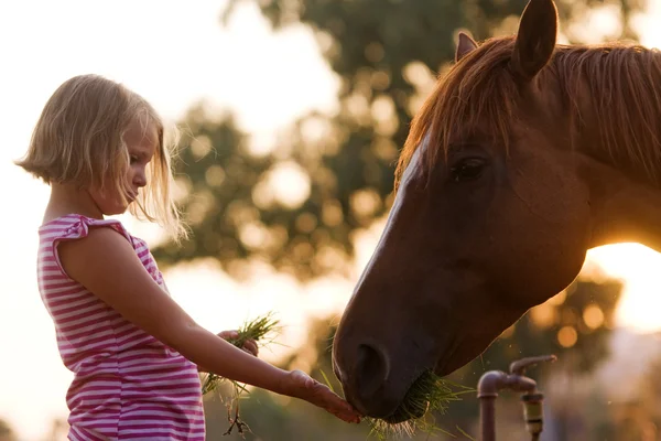 Aranyos gyermek etetés neki szép ló Jogdíjmentes Stock Képek