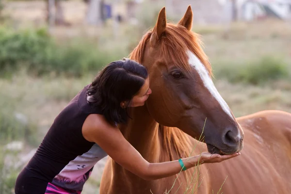 Belle donne sta abbracciando e baciando il suo bel cavallo Fotografia Stock