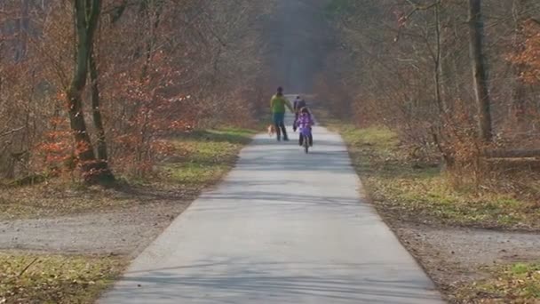 德国。一个带着孩子的女人正沿着树林里的小路走去 — 图库视频影像