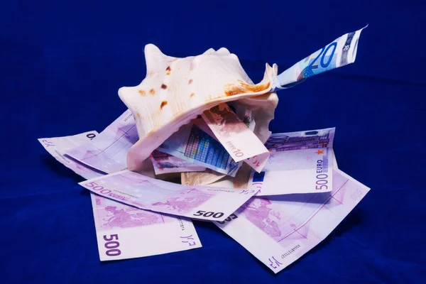 On a blue background in the marine shell are Euro banknotes of different denominations — Stock Photo, Image