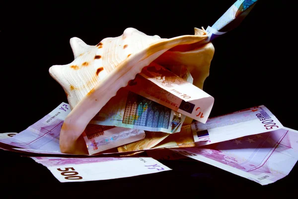 On a black background are Euro banknotes of different denominations in a sea shell — Stock Photo, Image