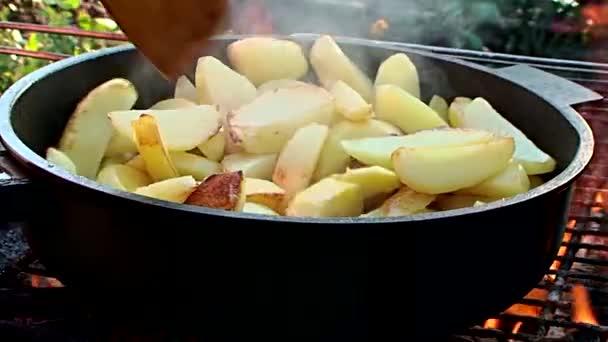 Fried potatoes — Stock Video
