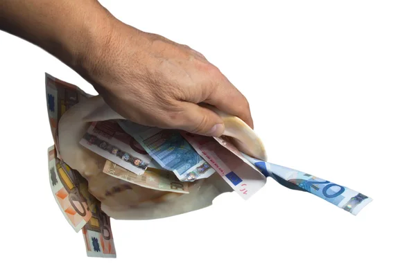 bir deniz kabuğu para beyaz arka plan ile bir elini tutuyor.