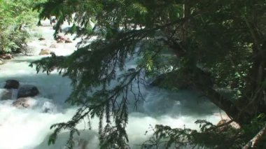 Dağ nehir akar taş