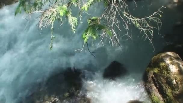 Agua en el río de montaña muele una piedra — Vídeo de stock