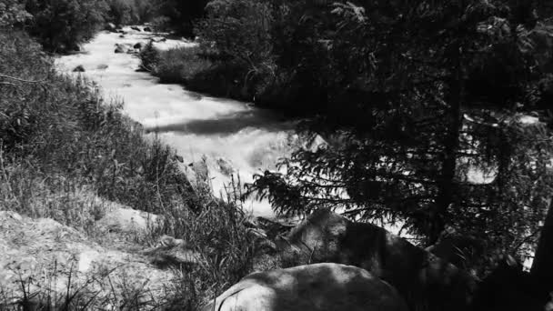 Es tiro blanco negro, la pequeña montaña río pequeño corre rápidamente sobre piedras — Vídeo de stock