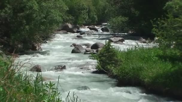 Den steniga berg floden rasar och hoppar igenom stenar — Stockvideo