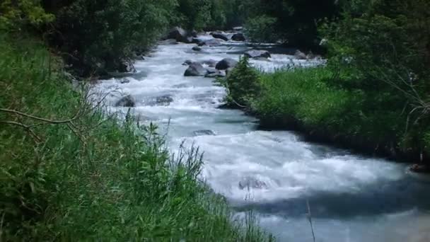 El pequeño río en las montañas entre el bosque — Vídeo de stock