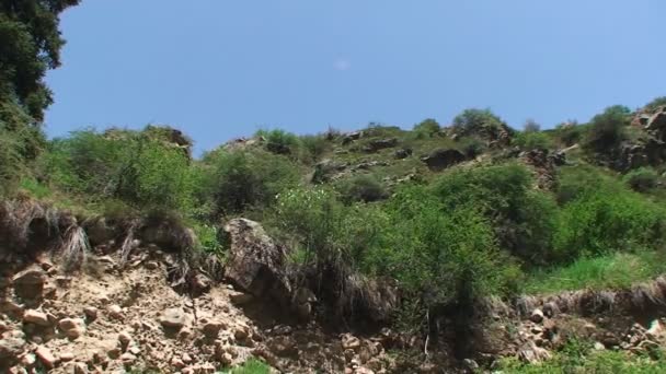 Puncak gunung, pohon-pohon dan semak-semak di bebatuan — Stok Video