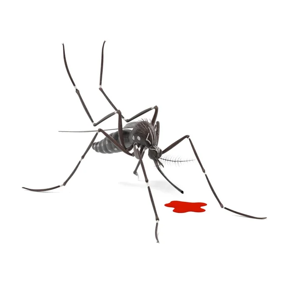 3D-рендеринг Aedes Aegypti — стоковое фото