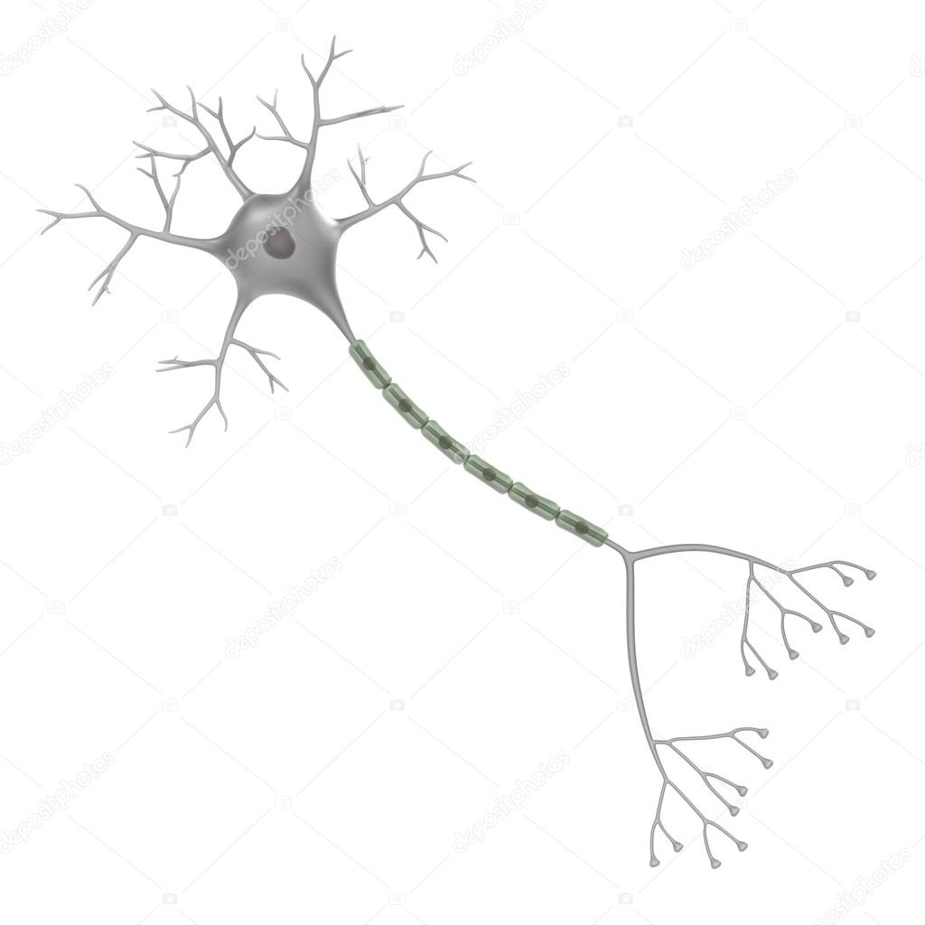 3d render of brain neuron
