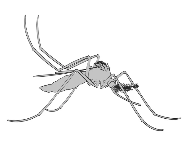 Aedes Aegypti 2D karikatür çizimi — Stok fotoğraf