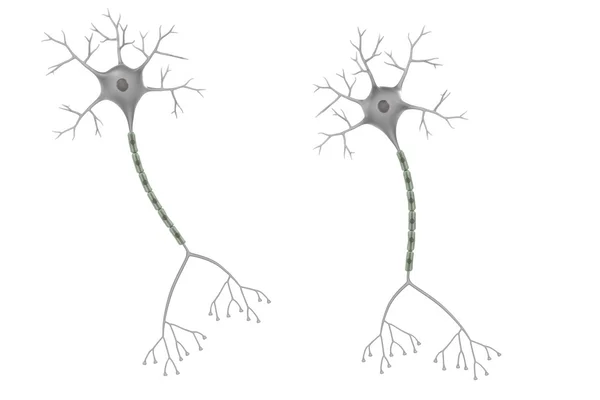 3D renderizado de neuronas cerebrales —  Fotos de Stock
