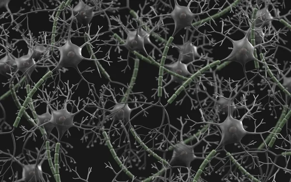 3d render of brain neuron network