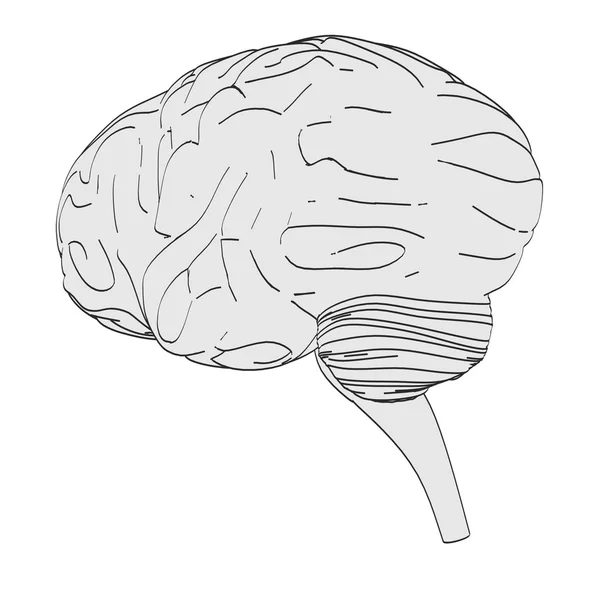 Beyin 2D karikatür çizimi — Stok fotoğraf