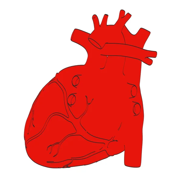 2D illustratie van de tekenfilm van menselijk hart — Stockfoto