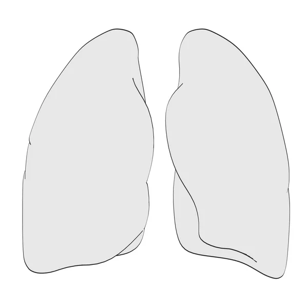 2d 卡通图的肺 — 图库照片