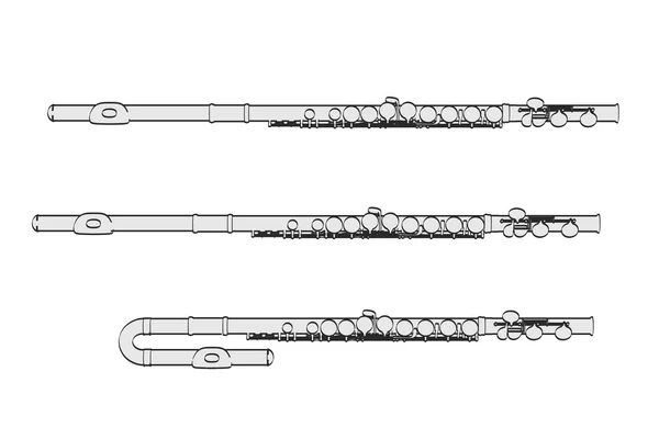 2d Cartoon Illustration von Flöten — Stockfoto