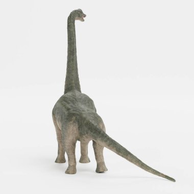 Brachiosaurus Dinozorunun Gerçekçi 3B Renderi