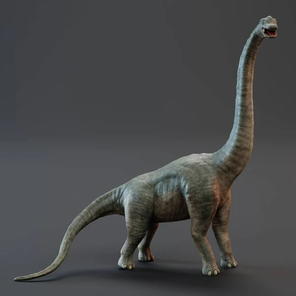 Render Realistico Del Dinosauro Brachiosauro — Foto Stock