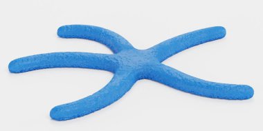 Mavi Denizyıldızının Gerçekçi 3D Çizimi