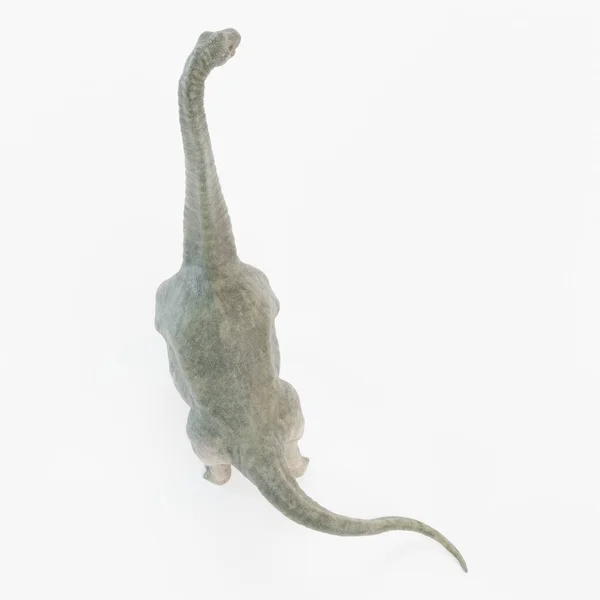 Realistische Render Von Brachiosaurus Dinosaurier — Stockfoto