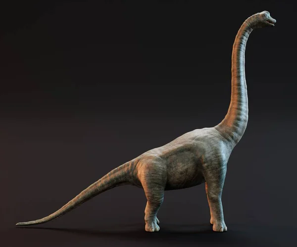 Realista Render Brachiosaurus Dinosaur — Foto de Stock